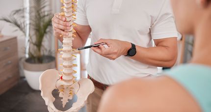 A man is holding a model of a spine and talking to a woman.