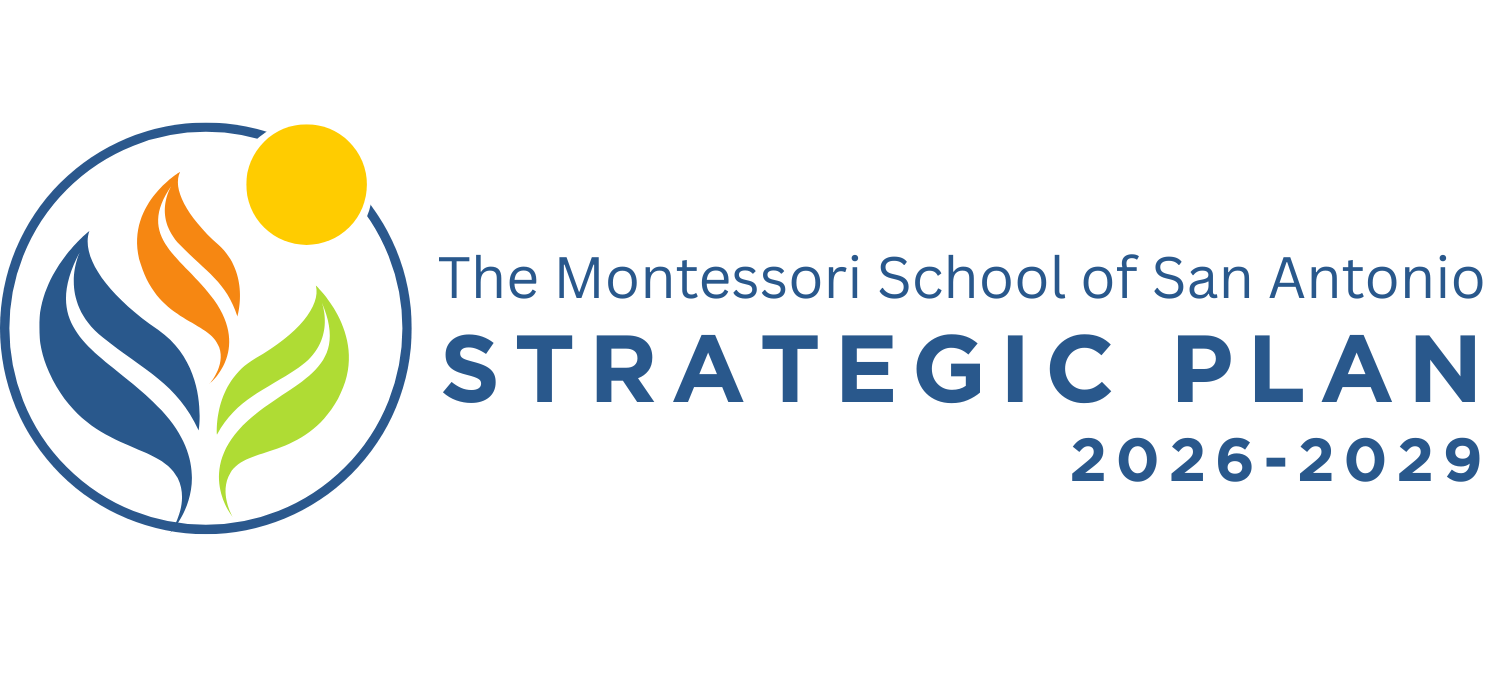 The Strategic Plan 2026-2029