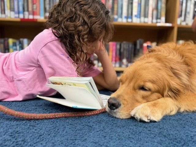 A young child is reading a book while lying on a blue rug with a golden retriever sleeping next to the child.