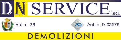 DN Service Reggio Calabria Logo DN Service Reggio Calabria Logo