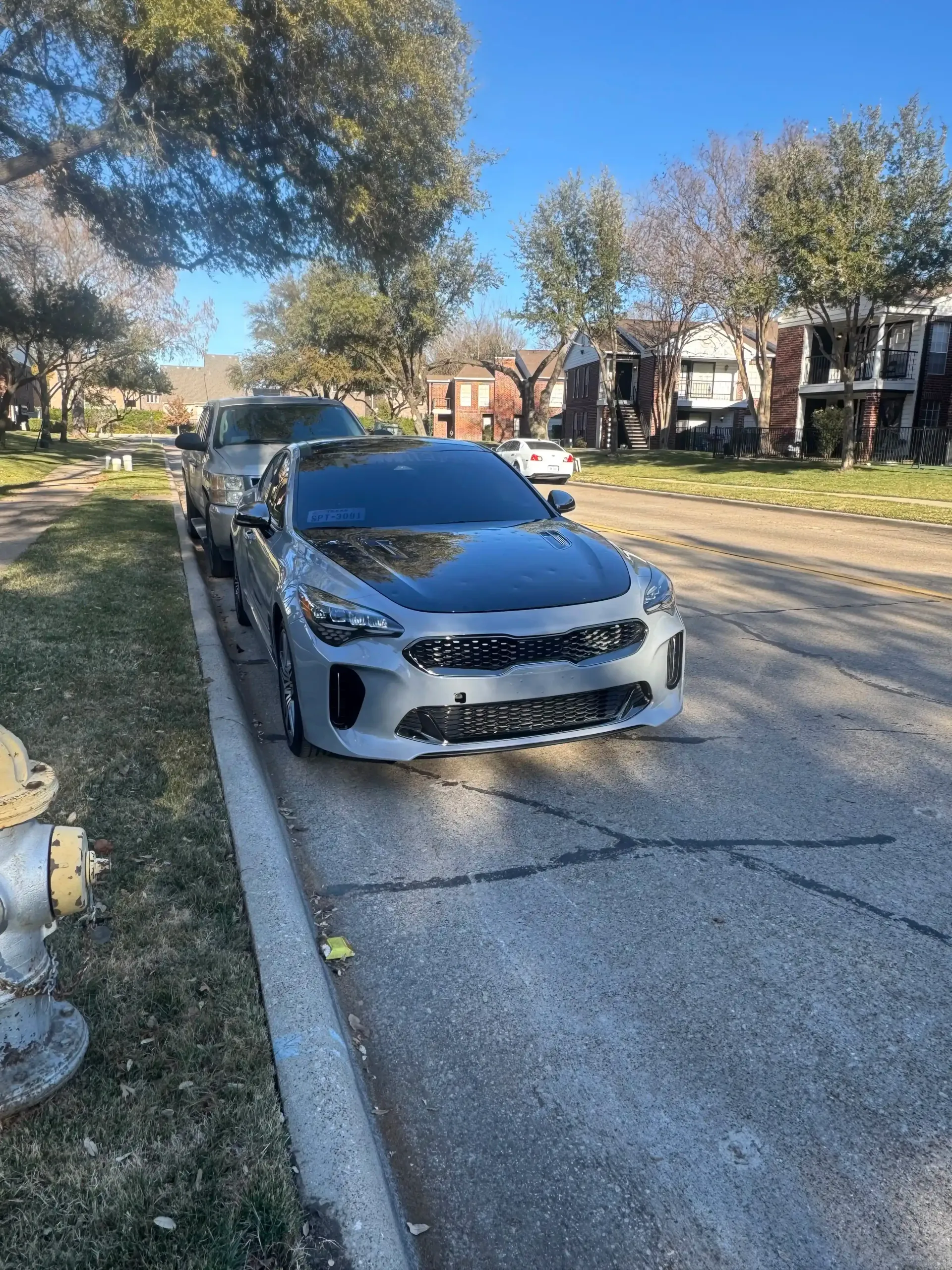 A grey Kia Stinger with a black hood parked on a tree-lined residential street on a sunny day.
