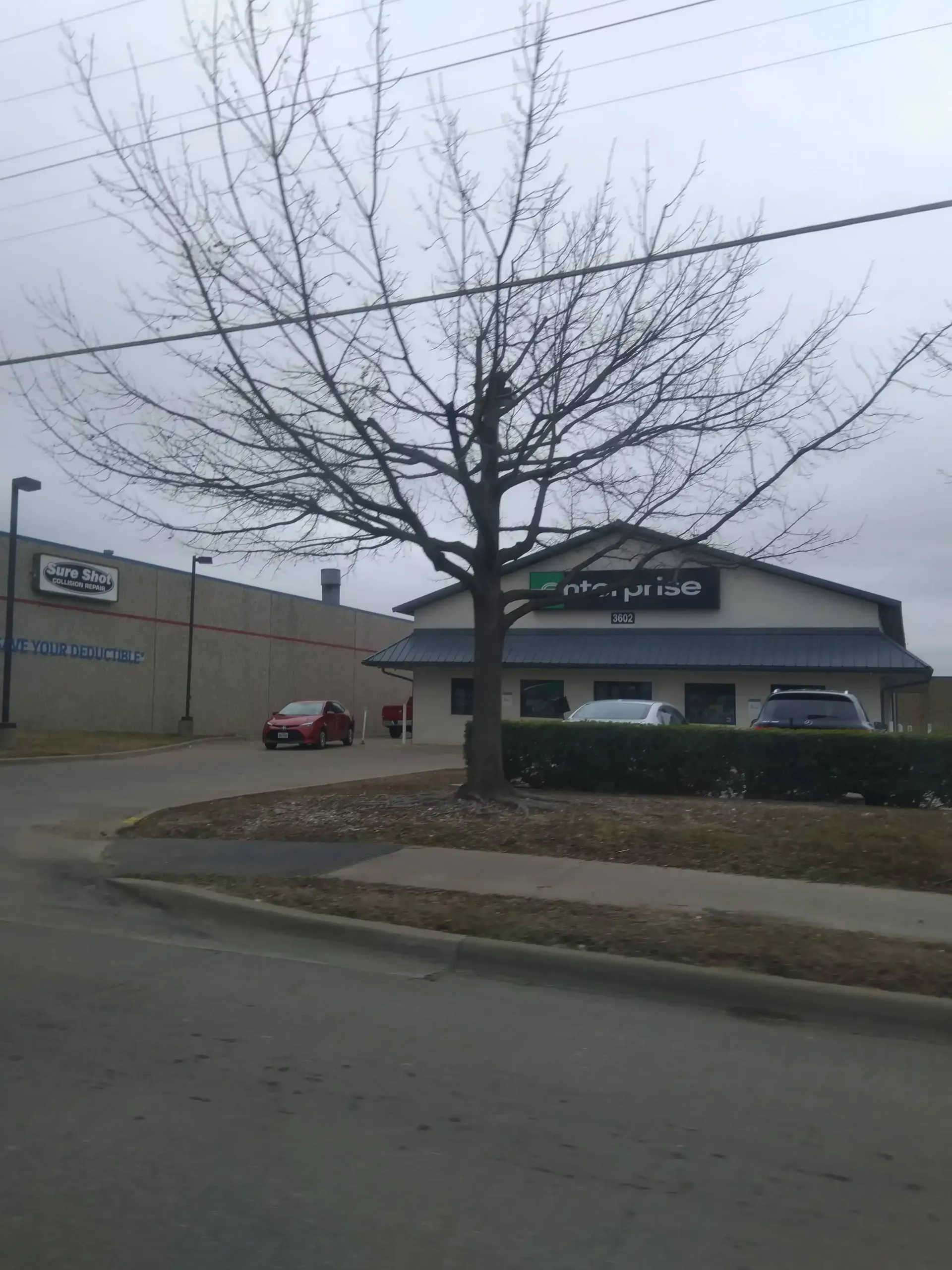 A leafless tree stands in front of a commercial building and a parked red car on a cloudy day.