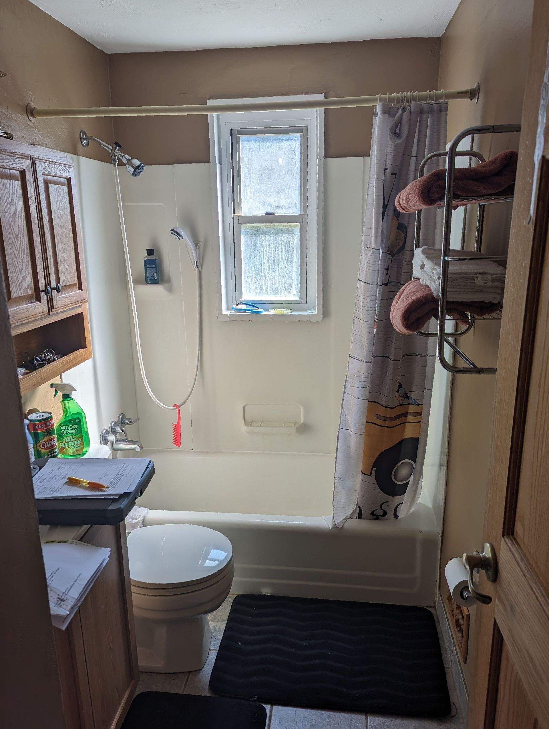 Bathroom before accessibility modification