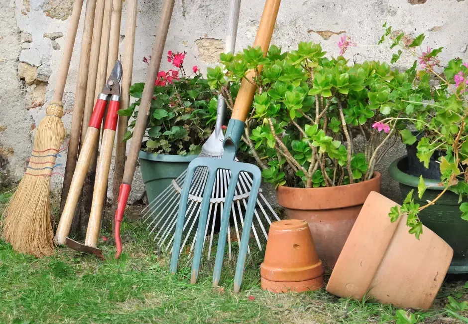 Gardening tools, potted plants leaning against a weathered wall, on a grassy lawn.
