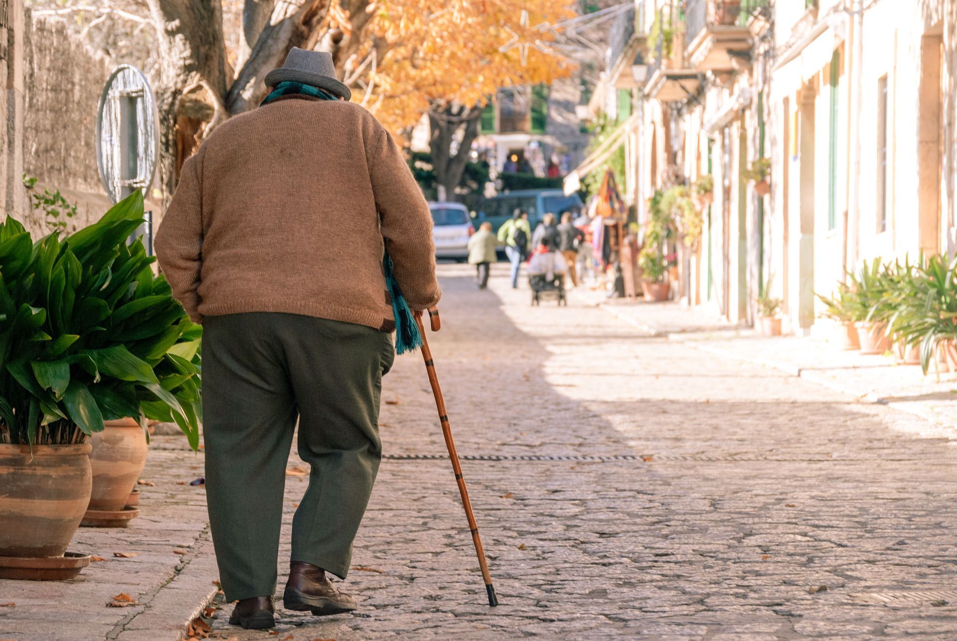Person walking with a cane down a sunlit cobblestone street lined with plants and buildings