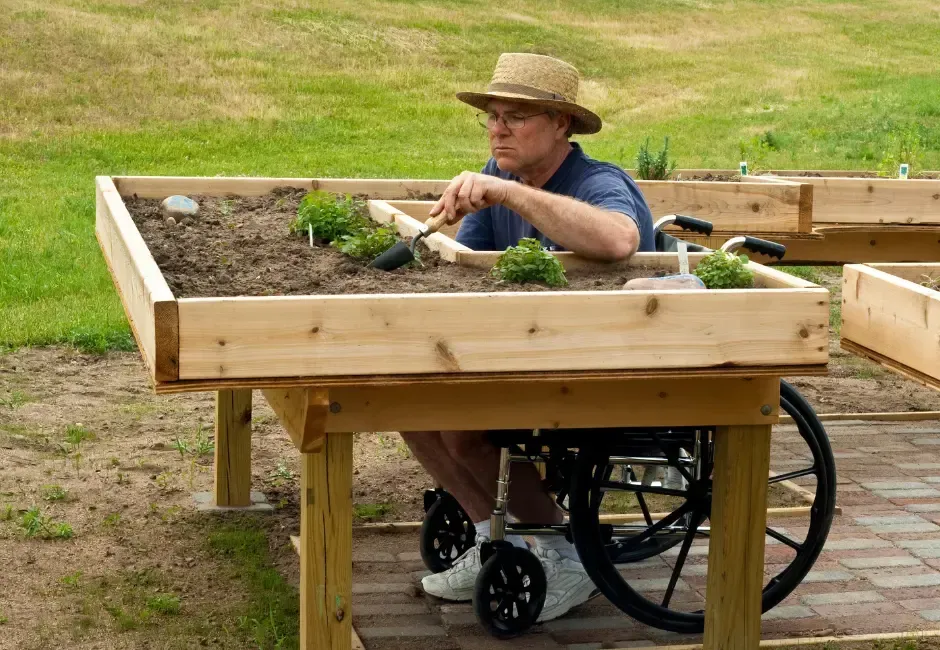 Man in a wheelchair tending a raised garden bed, wearing a straw hat in an outdoor setting.