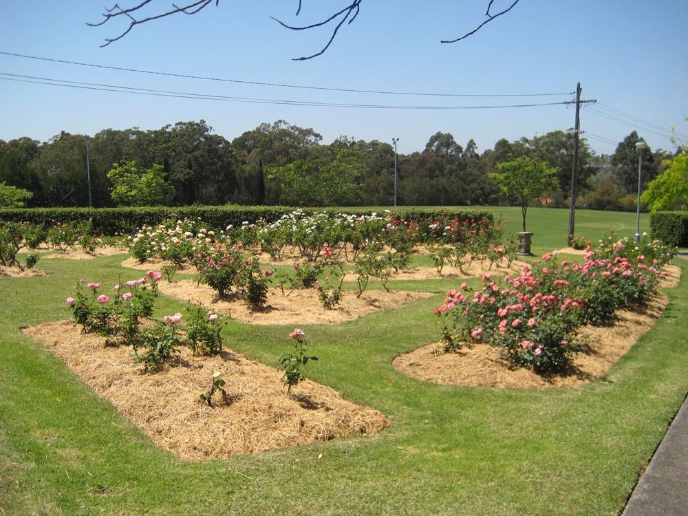 Beauchamp Park North Shore