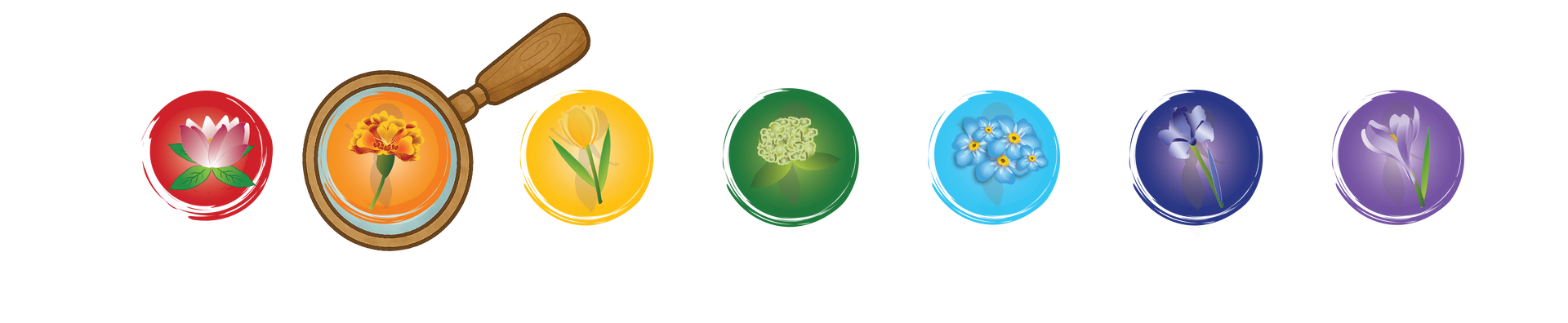 Seven colorful circular icons in a row, including a magnifying glass over an orange icon and various fruit-like symbols.
