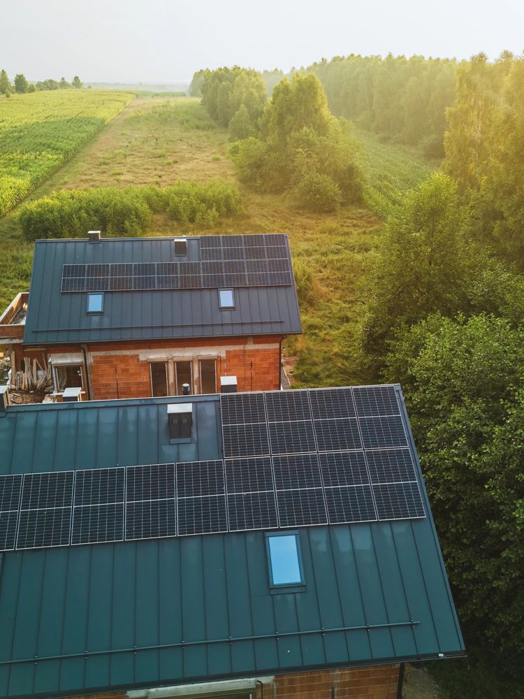 Casas rurales con techos verde oscuro junto a campos y árboles exuberantes al atardecer.