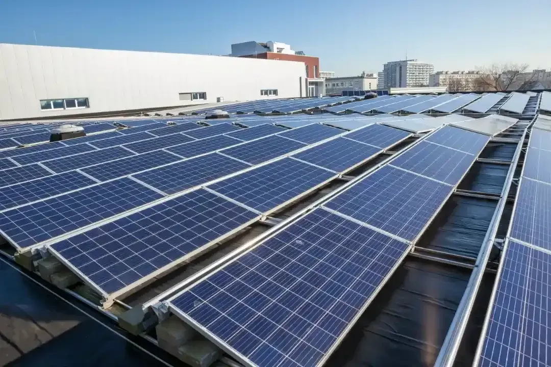 Solar Darling Heights Solar Darling Heights