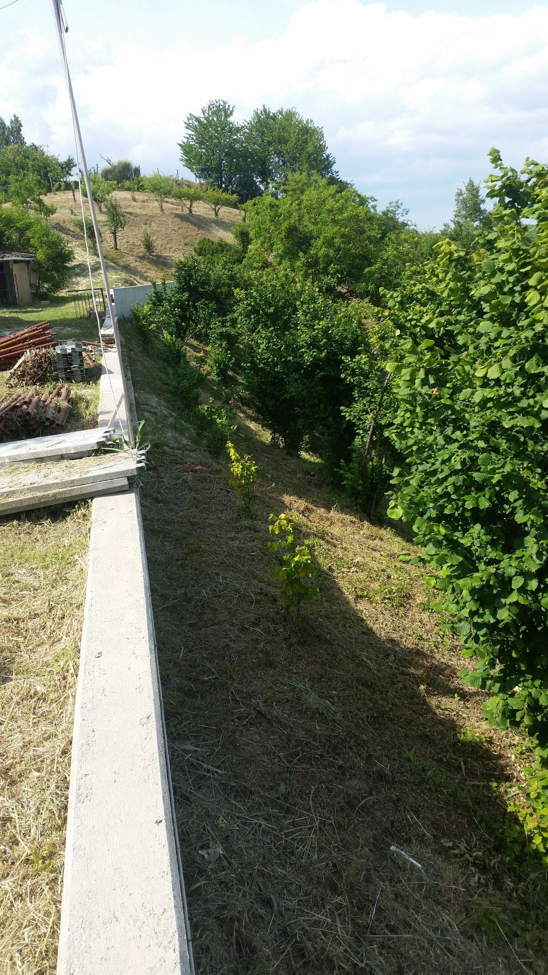 Interventi ordinari per la cura del verde