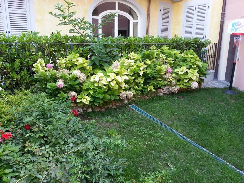 Creazione di giardini su misura