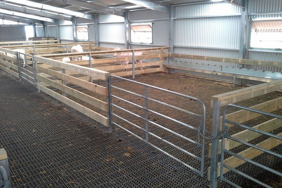 A sheep pen with a wooden fence and a metal gate