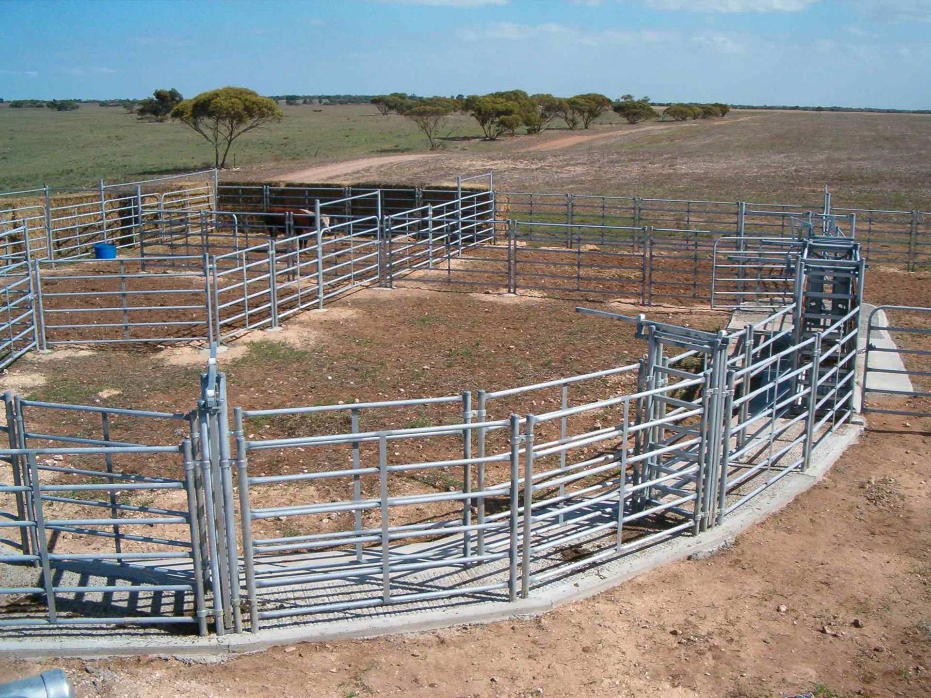 A metal fence surrounds a field with trees in the background