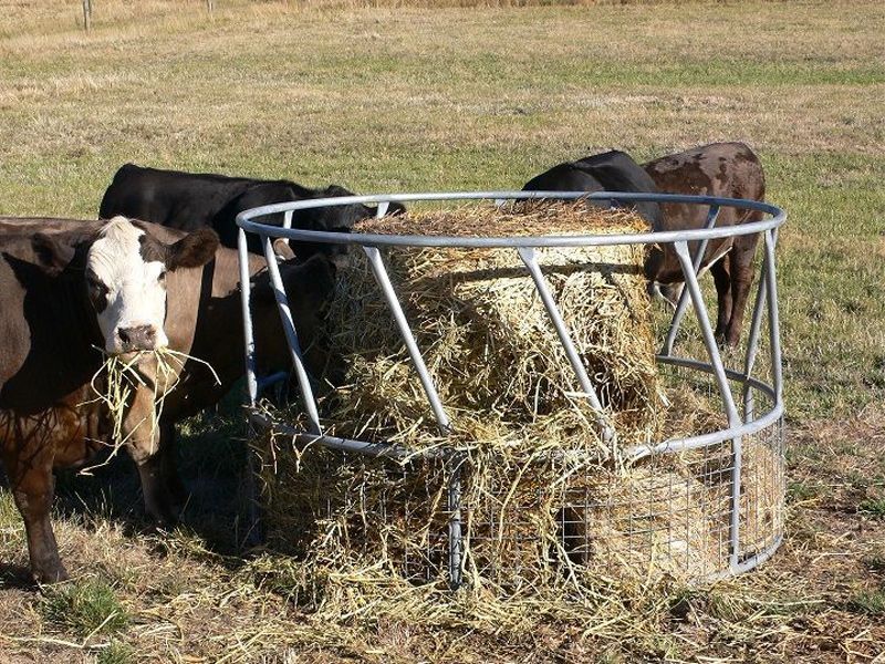 A bale of hay is in a metal feeder in a field