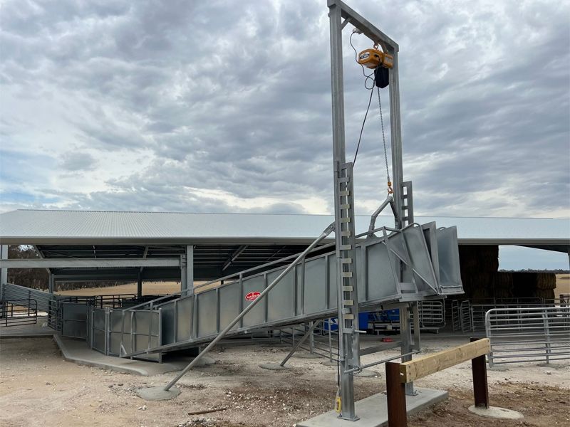 Premium Australian-Made Cattle & Sheep Loading Ramps