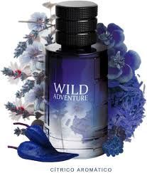 Wild adventure blue M 100ml