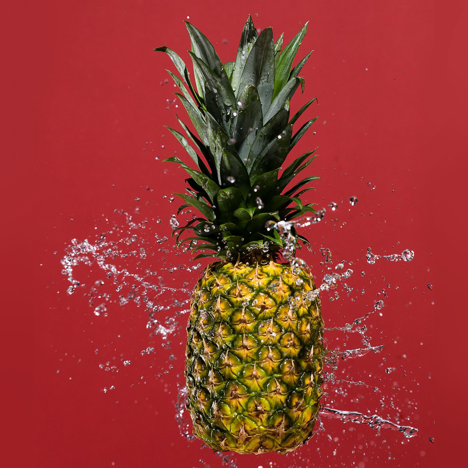 High-speed photography of water splashing on a whole pineapple on a red background. Product photography by JAM Creative photographers.