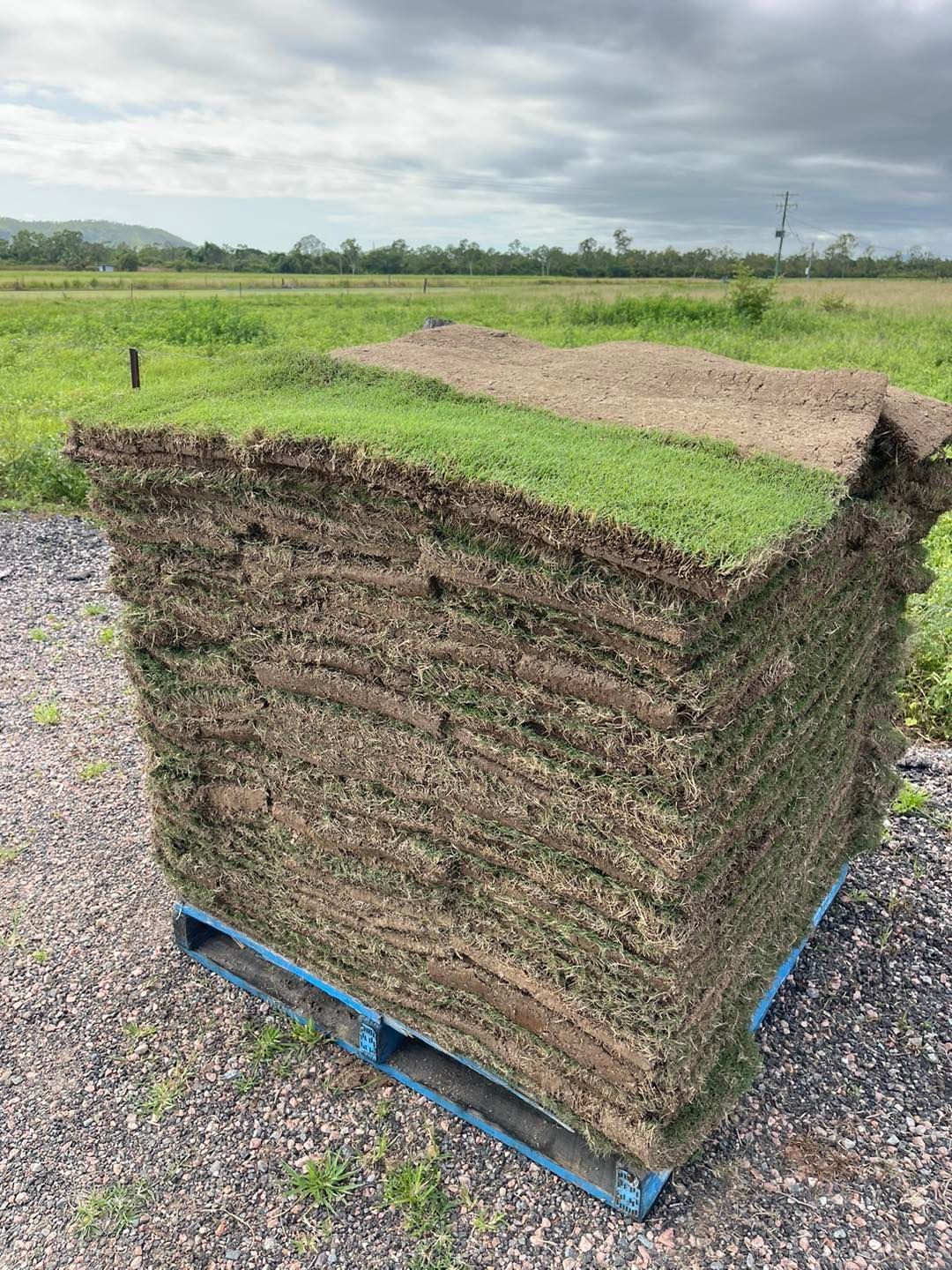Stack of Grass Sod on A Blue Pallet, in A Field Under a Cloudy Sky — Top Notch Turf in Rasmussen, QLD
