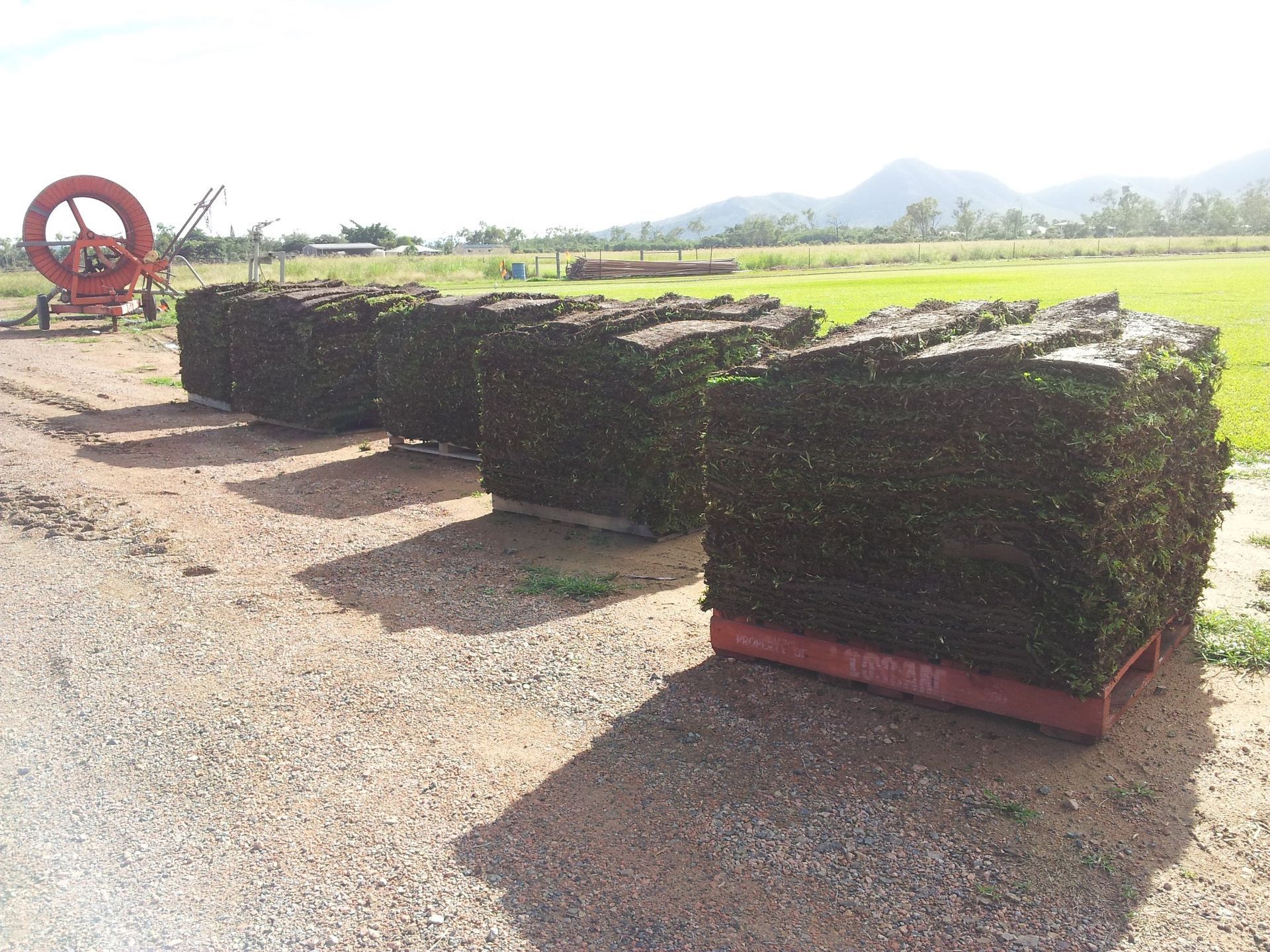 Stacks of Freshly Cut Sod on Pallets, Outdoors — Top Notch Turf in Rasmussen, QLD