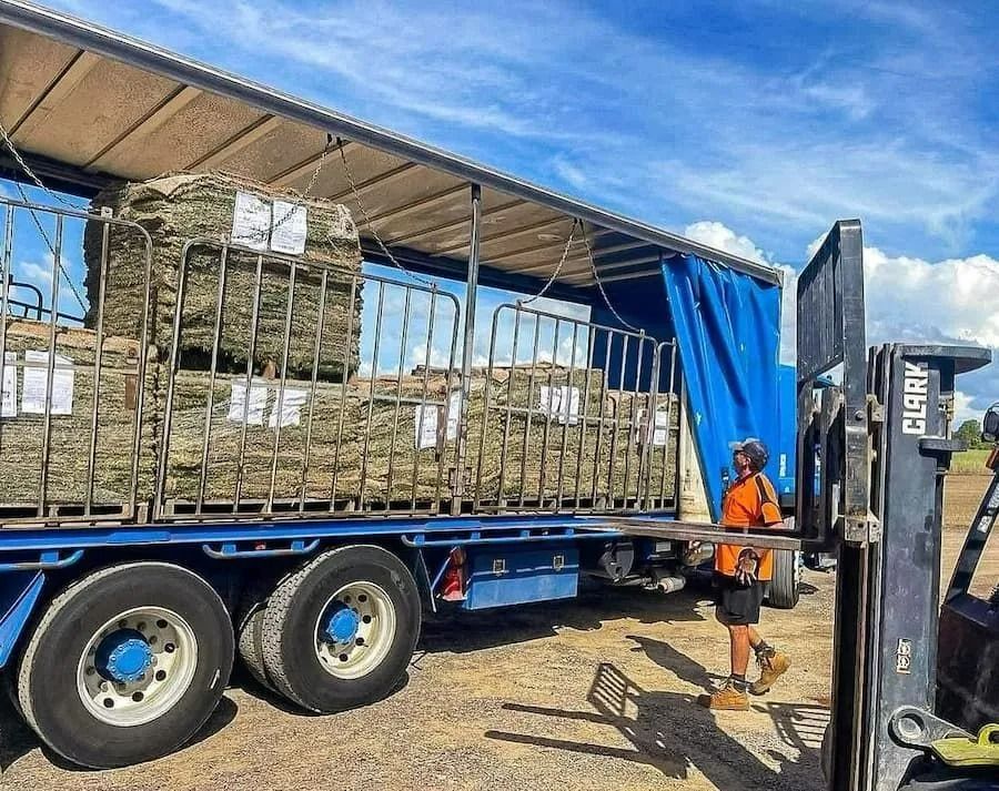 Forklift Loading Turf Pallets onto A Truck Under a Blue Tarp on A Sunny Day — Top Notch Turf in Rasmussen, QLD