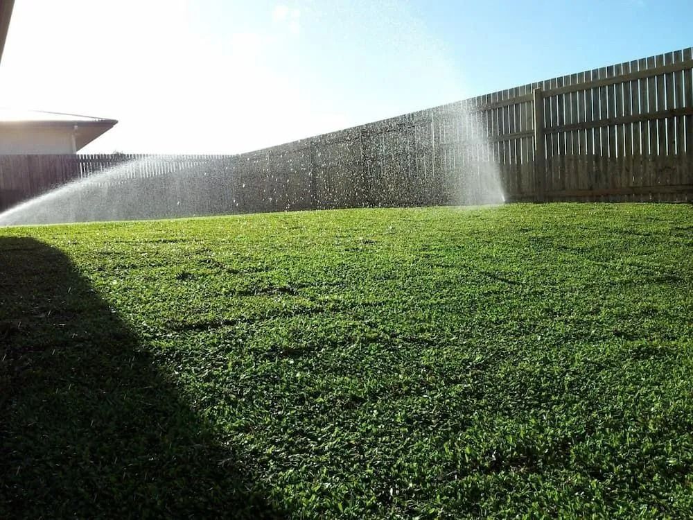Sprinkler Watering a Green Lawn in Front of A Wooden Fence on A Sunny Day — Top Notch Turf in Rasmussen, QLD