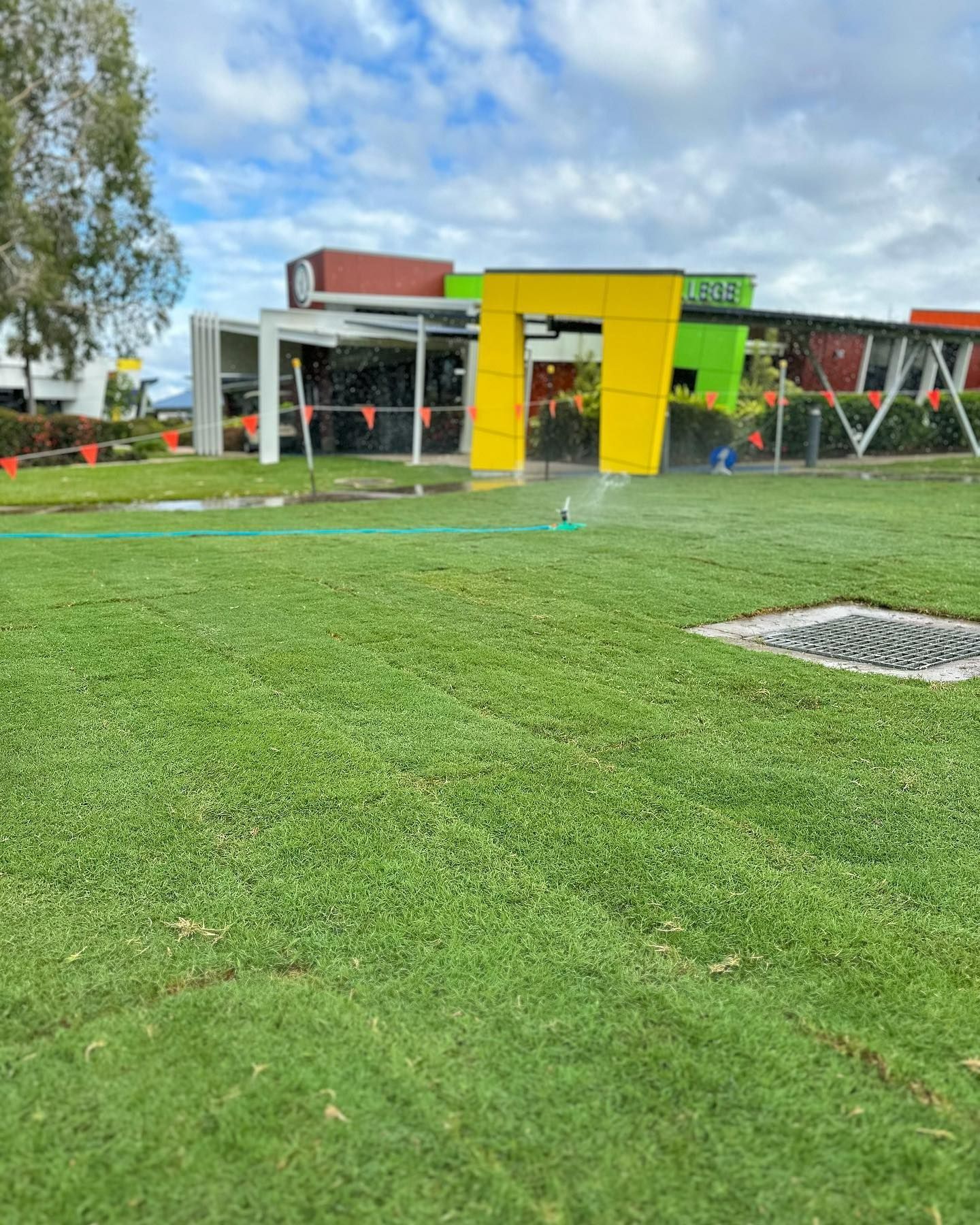 Sprinkler Irrigates a Green Lawn in Front of A Colorful Building with A Large Yellow Arch — Top Notch Turf in Rasmussen, QLD