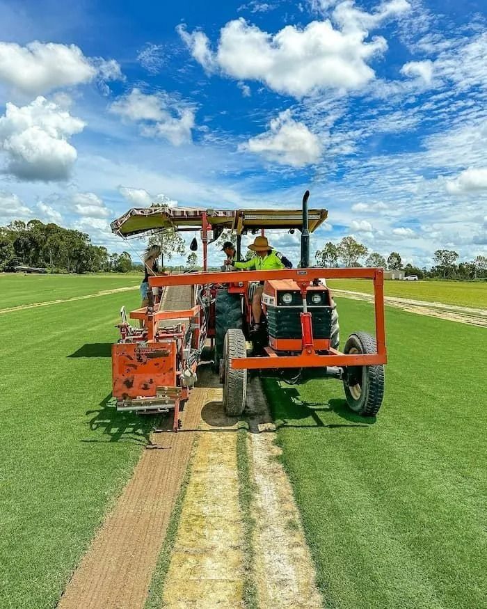 Orange Tractor Cutting a Line on A Green Grass Field Under a Blue Sky with Clouds — Top Notch Turf in Rasmussen, QLD