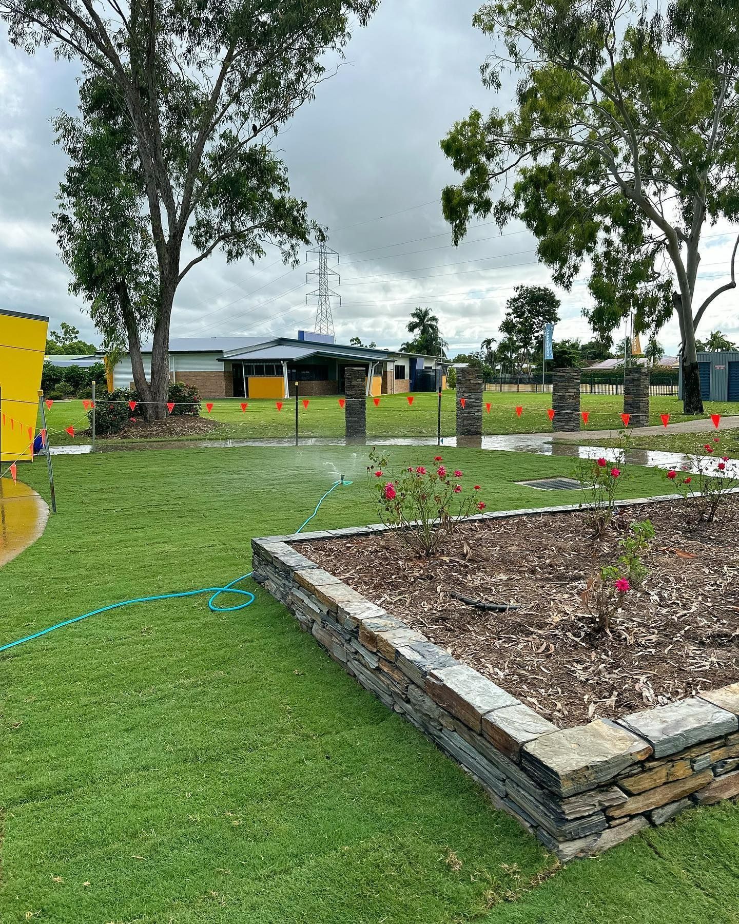 Green Lawn with Sprinkler System Watering a Flowerbed, Trees, and Buildings — Top Notch Turf in Rasmussen, QLD