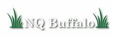 NQ Buffalo