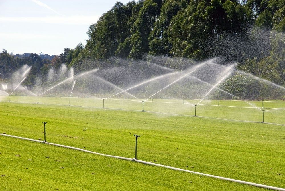 Sprinklers Watering a Green Field, with Trees in The Background, Under a Bright Sky — Top Notch Turf in Rasmussen, QLD