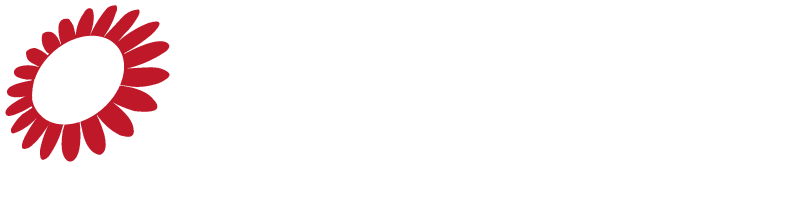 Southern Companions   