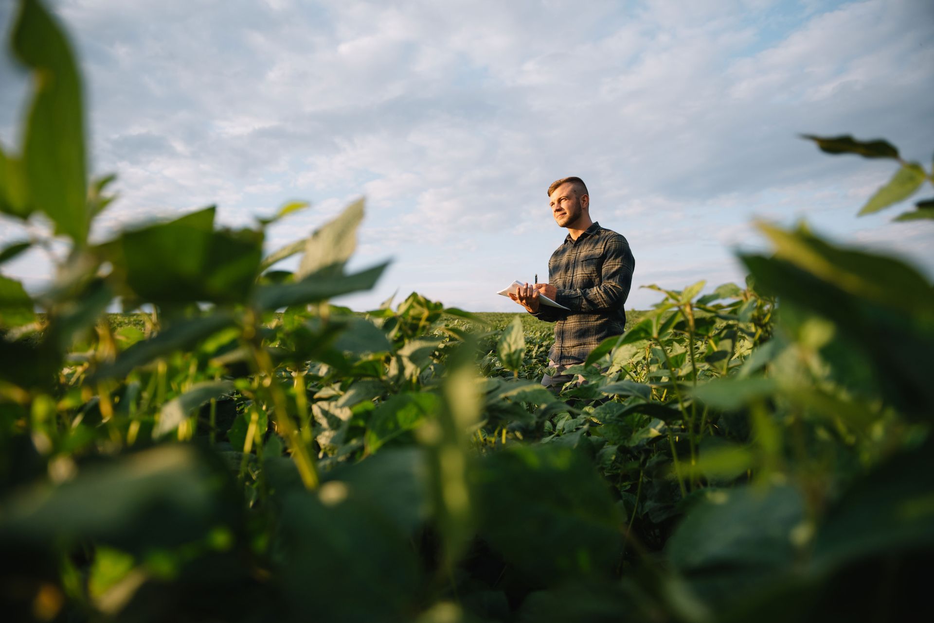 Farm Field Insurance in Elizabethtown, PA