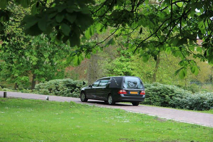 Un'auto nera percorre un sentiero in un parco, costeggiando erba verde e alberi.