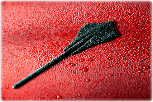 Ceramic Coating Water Beads On Corvette
