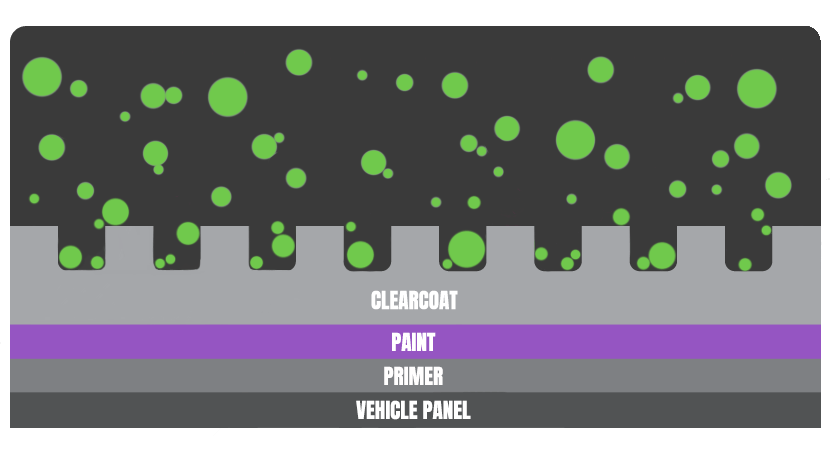 No Paint Protection Diagram