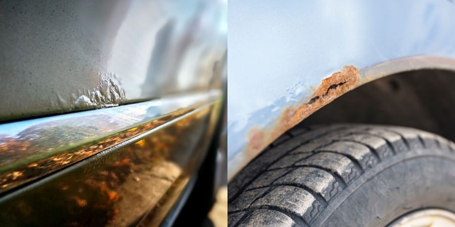 Cars showing signs of winter damage since they didn't have a ceramic coating.