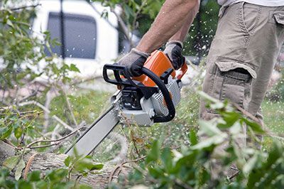 tree removal austin