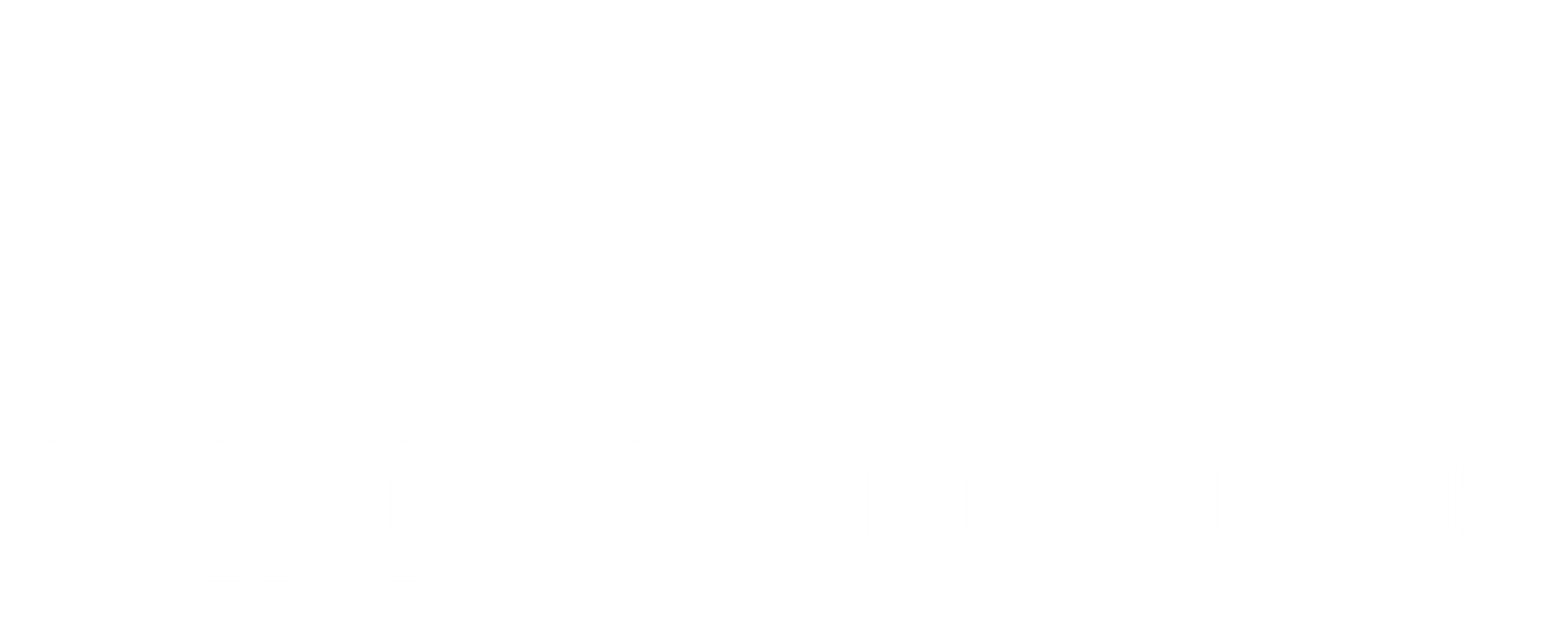 White horizontal line on a white background.