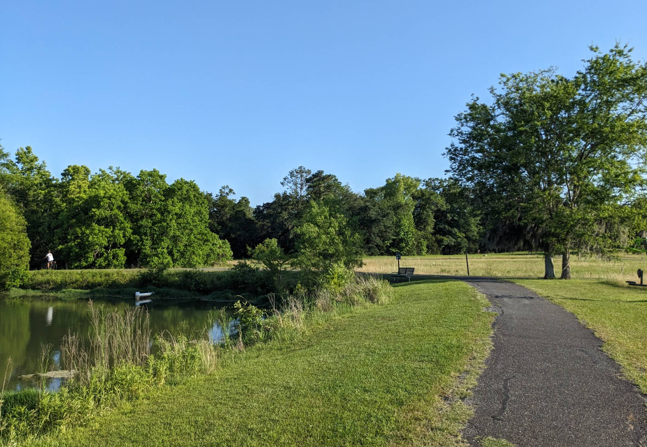 A paved path next to a lake, leading into a park with trees and a clear blue sky.