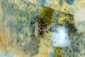 Abstract blue, yellow, and green textured painting with a white patch and dark speckles in the center