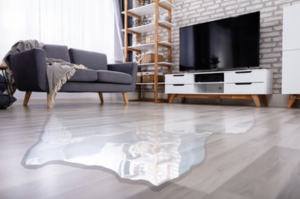 Living room with a gray sofa, TV, and a large puddle of water on the floor