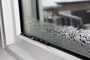 water damage cleanup north charleston