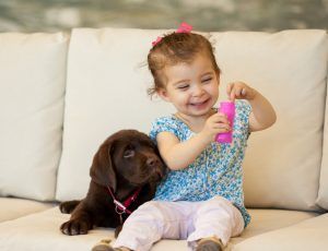 Toddler holding a pink bottle while sitting beside a brown puppy on a cream couch
