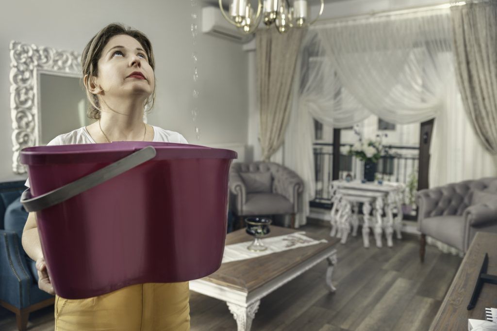 Person carrying a large purple storage bin in a bright living room