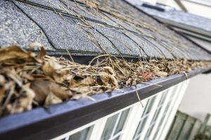 Dried leaves piled in a rain gutter along a house roof edge