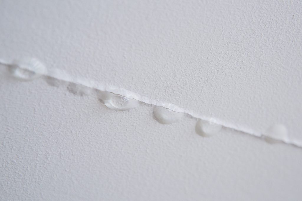 Close-up of a white ceiling seam with a row of small raised bumps along the edge