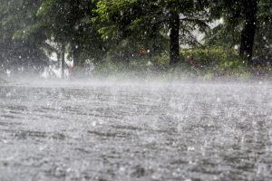 Heavy rain falling over a flooded road with trees in the background