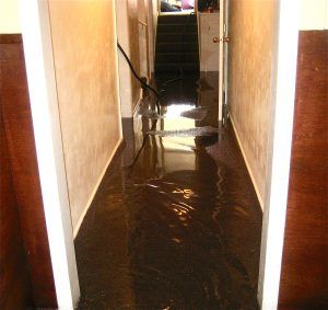 Flooded hallway with dark water covering the floor and stairs visible at the end