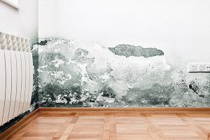 Water-damaged wall with peeling paint and mold above a wooden floor, next to a white radiator.